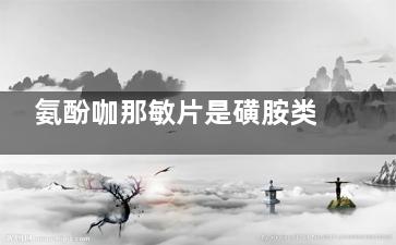 氨酚咖那敏片是磺胺类药物吗 氨酚咖那敏片可以和其他感冒药同时服用吗？